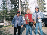 Spruce Shilling Camp