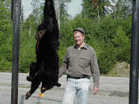 Bear Hunting at Spruce Shilling Camp