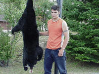 Bear Hunting at Spruce Shilling Camp