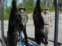 Bear Hunting at Spruce Shilling Camp
