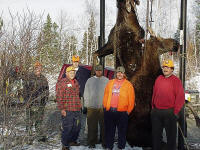 Moose Hunting in Ontario - Spruce Shilling Camp